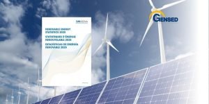 IRENA 2025 Yenilenebilir Enerji İstatistikleri Raporunu Yayınlandı