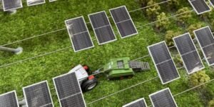 Çilek Tarlalarında Enerji Devrimi: California'da Dikey GES ile Çift Gelir Dönemi