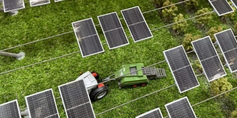 Çilek Tarlalarında Enerji Devrimi: California'da Dikey GES ile Çift Gelir Dönemi
